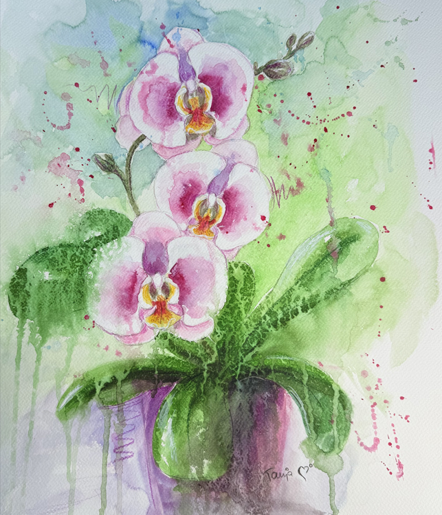 Screenshot 2025-12-15 231042